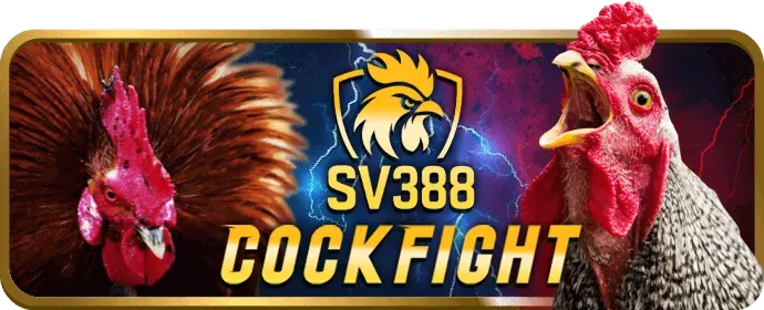 Cá cược thể thao bl88
